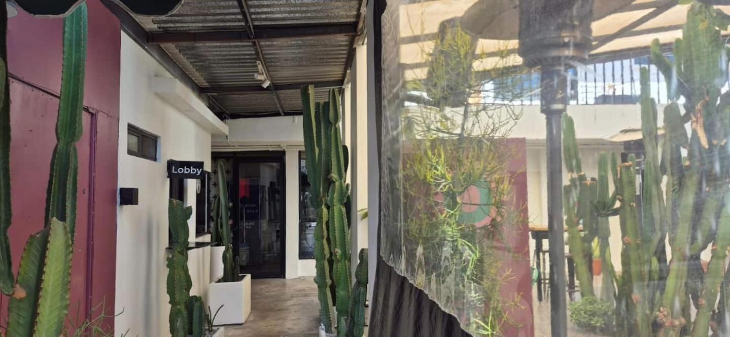 Hotel Coyote Lofts-estacion Federal